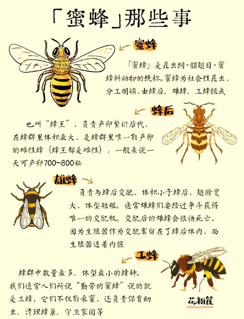 解梦指南7个梦见蜜蜂的意义与象征解析