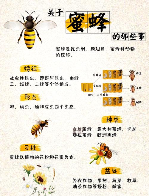 解梦指南7个梦见蜜蜂的意义与象征解析