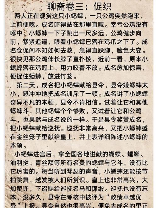 梦见蛐蛐的预示解析梦境背后的深层意义与生活启示