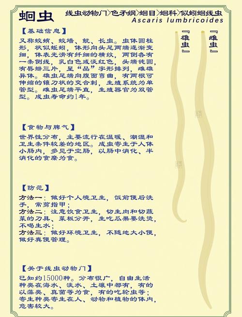 解读梦见蛔虫的5个心理暗示专家详解及应对策略