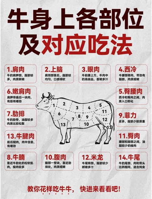 解读梦见牛肉的5种象征意义从心理到生活的深度剖析