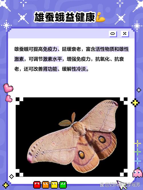 梦见蚕娥意味着哪些？解密背后的神秘寓意与人生启示