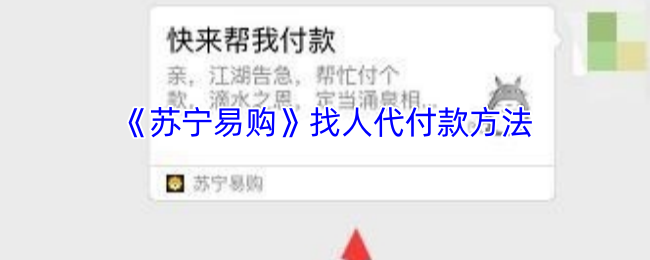 轻松掌握苏宁易购代付款技巧，快速解决购物难题