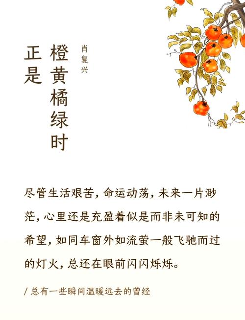 梦见橘色象征意义解析橘色10大心理影响与生活启示