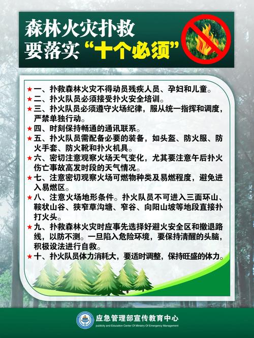 烟台消防如何提升森林灭火救援效率？‘一队多能’策略揭秘
