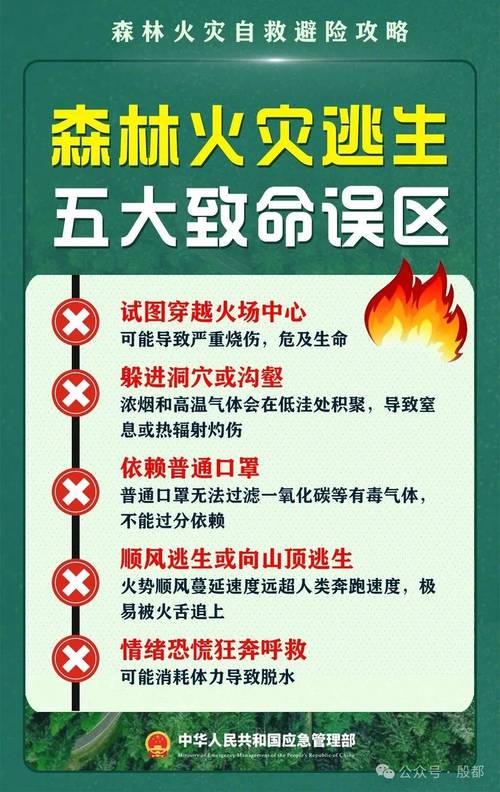 烟台消防如何提升森林灭火救援效率？‘一队多能’策略揭秘