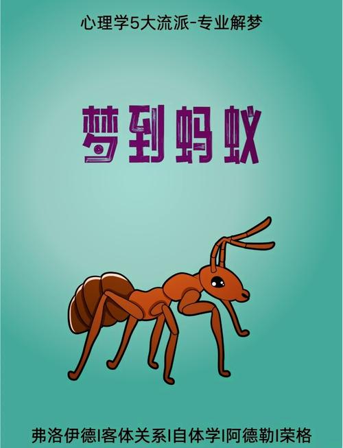 揭秘梦见蚂蚁叼东西的心理解析专家权威解读与4大影响因素