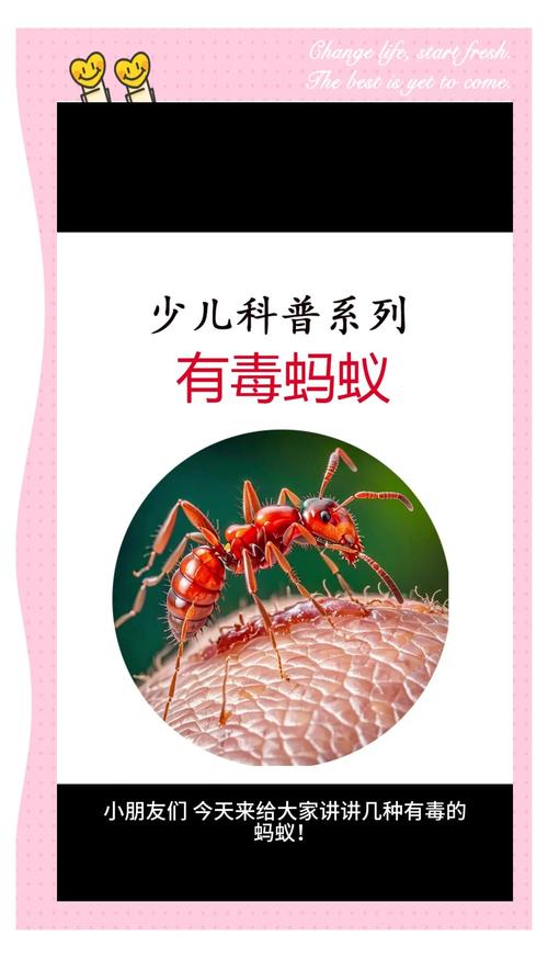 揭秘梦见蚂蚁叼东西的心理解析专家权威解读与4大影响因素