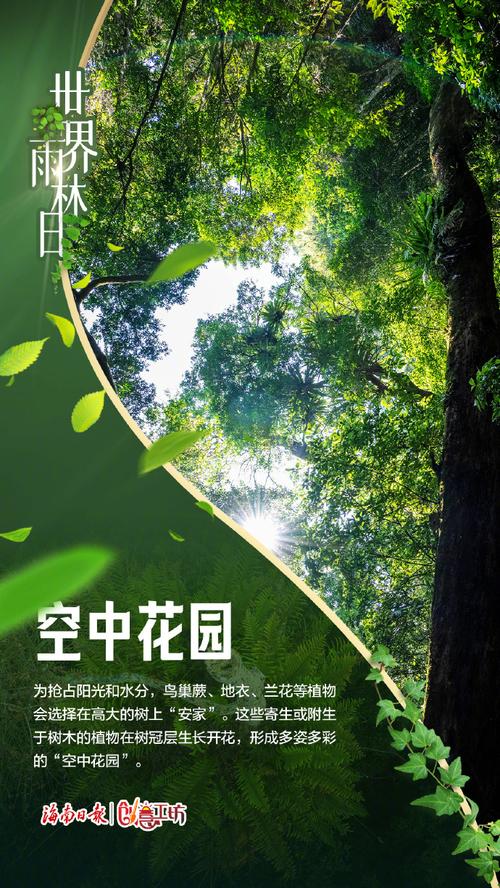梦见热带雨林解析心理暗示与环境影响哪个更深刻？