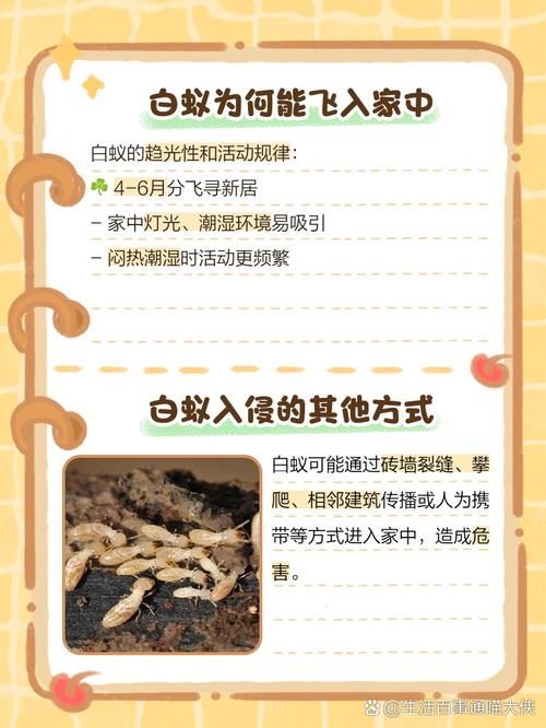 揭秘5种梦见白蚁的深层含义及心理提示