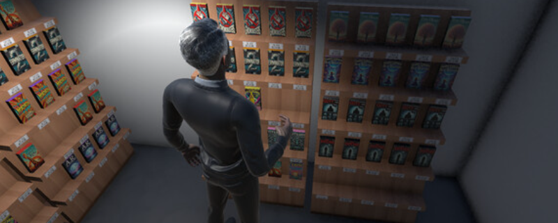 如何打造完美的Videoclub Simulator体验？深入解析游戏亮点与攻略！