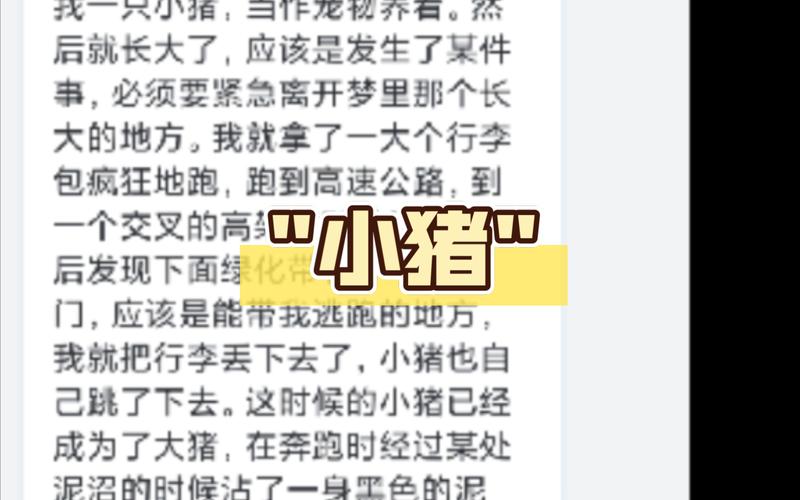梦见抱猪崽解析心理暗示与生活启示解读 梦见抱猪崽解析心理暗示与生活启示解读
