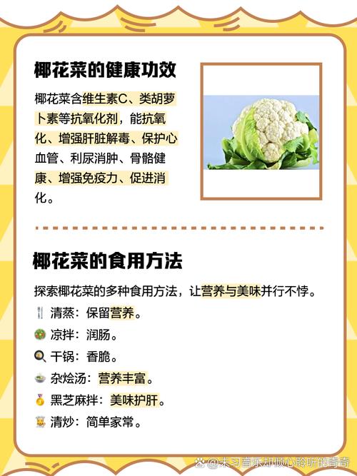 梦见花椰菜解析象征意义及心理影响深度分析