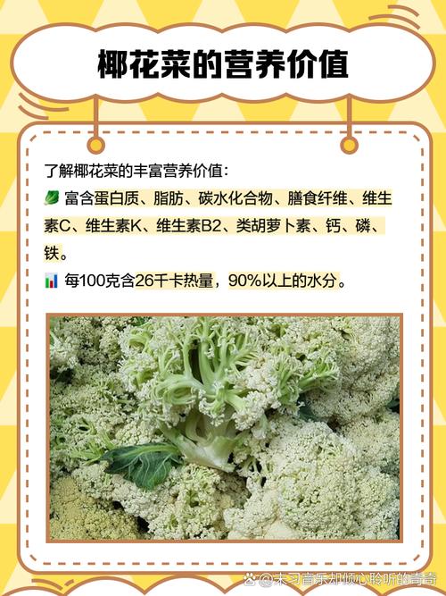 梦见花椰菜解析象征意义及心理影响深度分析