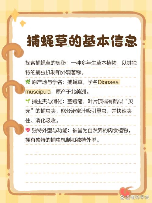 梦见捕蝇器的深层含义解读,心理揭示内心隐秘情感与生活启示! 梦见捕蝇器的深层含义解读,心理揭示内心隐秘情感与生活启示!