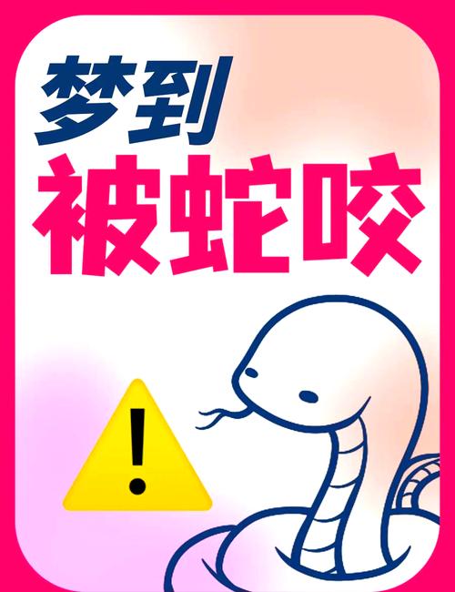 梦见鸡咬人解析5个注意事项及心理暗示