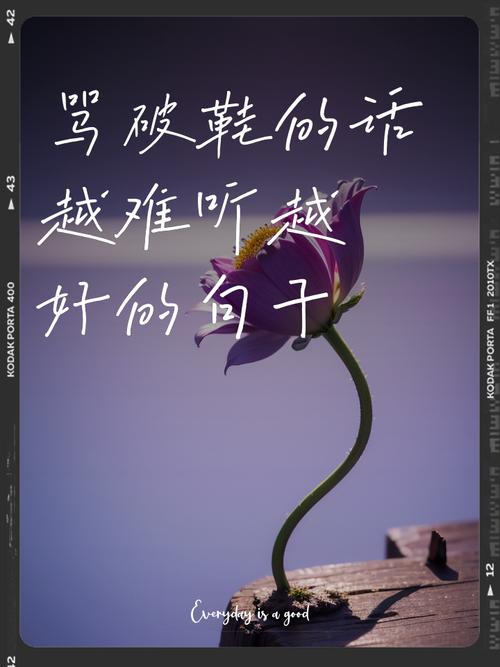 梦见鞋破损的深层解读，心理启示引导生活改善！