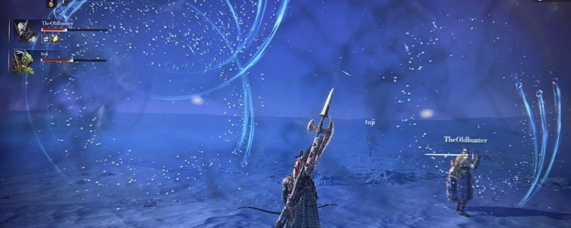 如何高效应对艾尔登法环的蝗灾？黑夜君临玩家必备技巧！