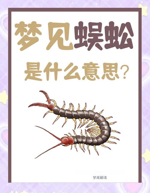 梦见蜈蚣解析象征意义与心理暗示深度分析