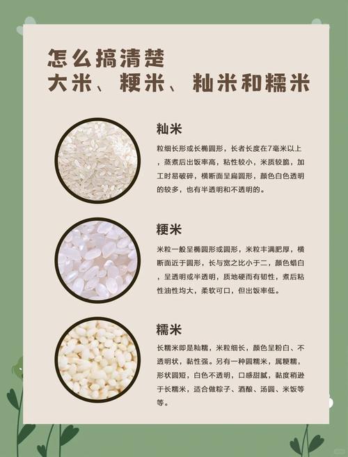 梦见粳米寓意解析传统意义与现代解读的区别