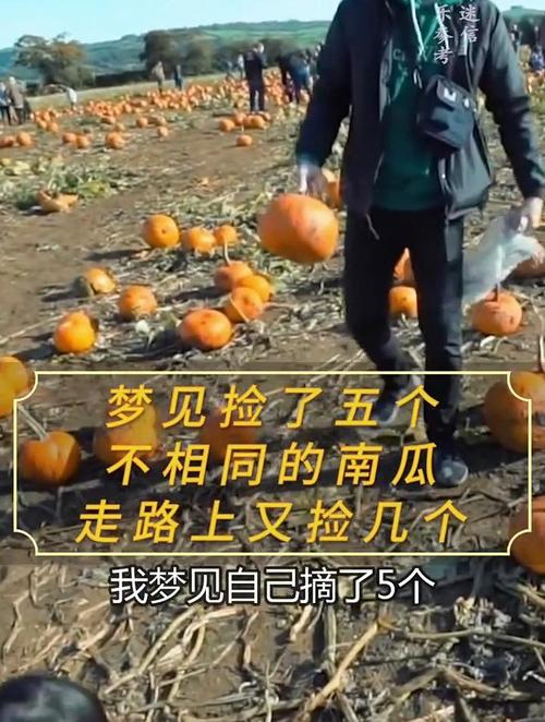 梦见南瓜预示哪些？解析其象征意义及心理影响