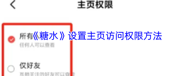 如何设置糖水手游主页访问权限？全面攻略指南来了！