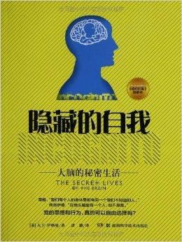 梦见毛线解析揭示隐藏心灵信号，帮你洞察自我成长潜力