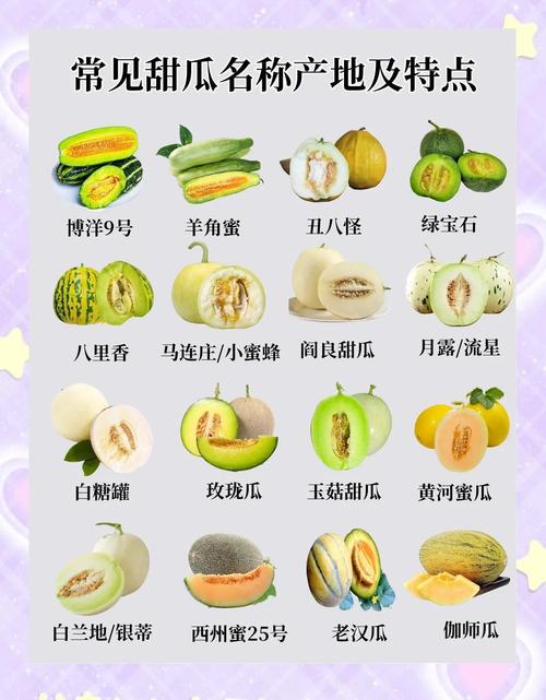 梦见香瓜解析象征意义与心理暗示的对比分析 梦见香瓜解析象征意义与心理暗示的对比分析