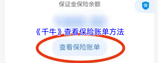 手游攻略：快速掌握千牛保险账单查询技巧，轻松管理财务