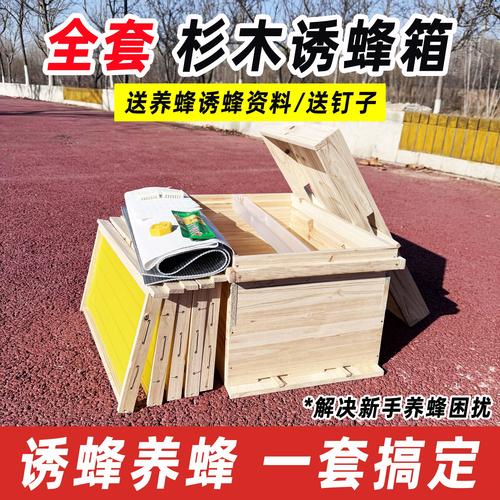 解读梦见蜂箱揭示内心秘密与生活启示