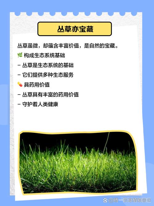 梦见草丛意味着哪些?高效解决您的疑惑方案解析 梦见草丛意味着哪些?高效解决您的疑惑方案解析