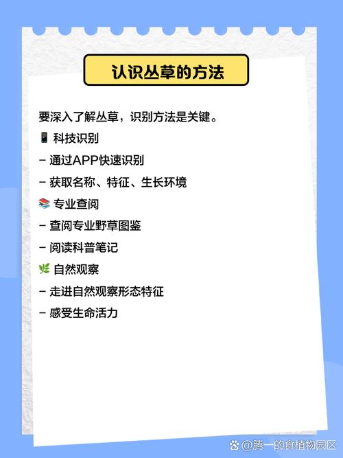 梦见草丛意味着哪些?高效解决您的疑惑方案解析 梦见草丛意味着哪些?高效解决您的疑惑方案解析