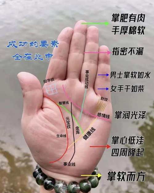 探寻梦见看手相的深层含义高效解决方案揭秘