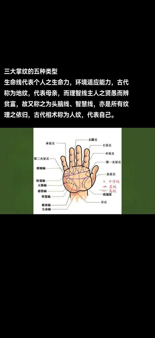 探寻梦见看手相的深层含义高效解决方案揭秘