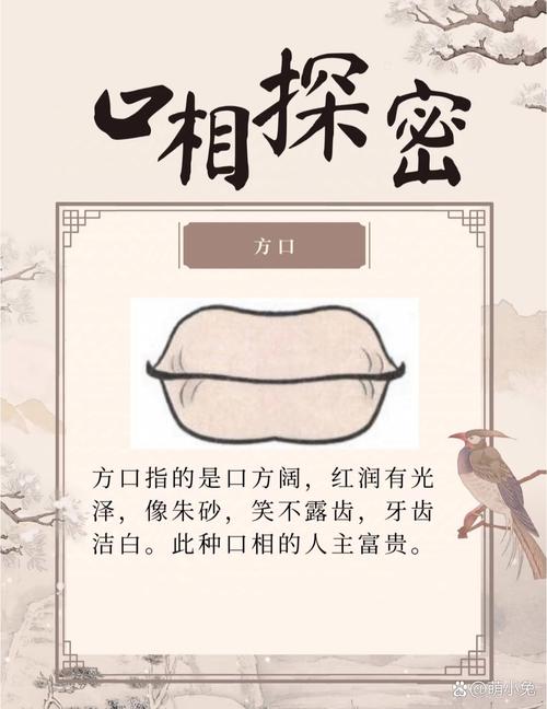 梦见嘴巴的深层解析揭示潜意识中的象征意义与启示 梦见嘴巴的深层解析揭示潜意识中的象征意义与启示