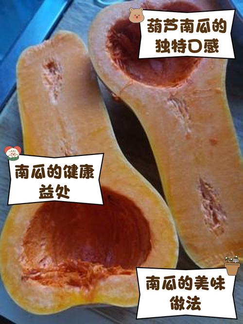 梦见葫芦 vs 梦见南瓜揭示梦境背后的象征意义 梦见葫芦 vs 梦见南瓜揭示梦境背后的象征意义
