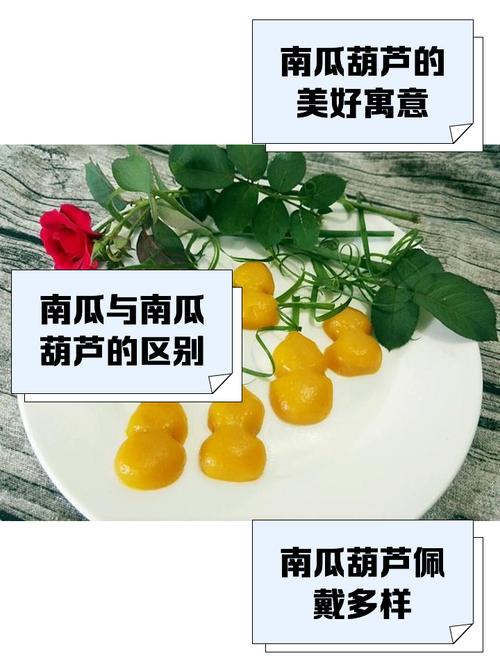 梦见葫芦 vs 梦见南瓜揭示梦境背后的象征意义 梦见葫芦 vs 梦见南瓜揭示梦境背后的象征意义