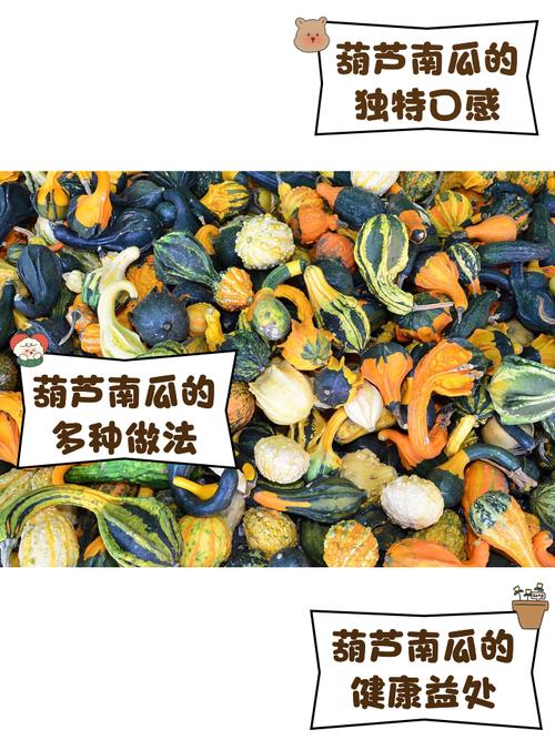 梦见葫芦 vs 梦见南瓜揭示梦境背后的象征意义 梦见葫芦 vs 梦见南瓜揭示梦境背后的象征意义