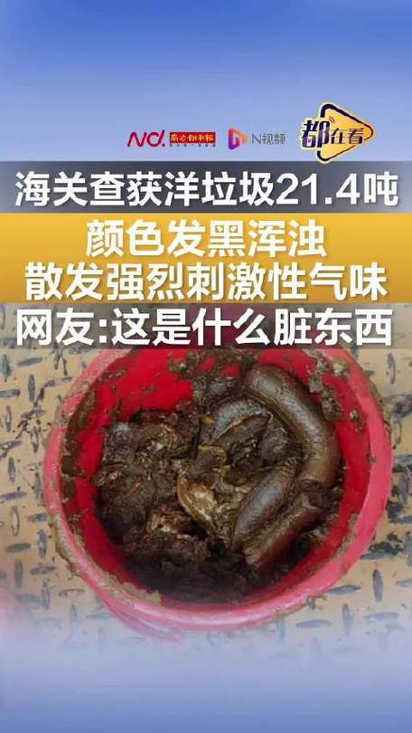 深圳海关破获惊人走私案：20吨粪便状洋垃圾背后的秘密？