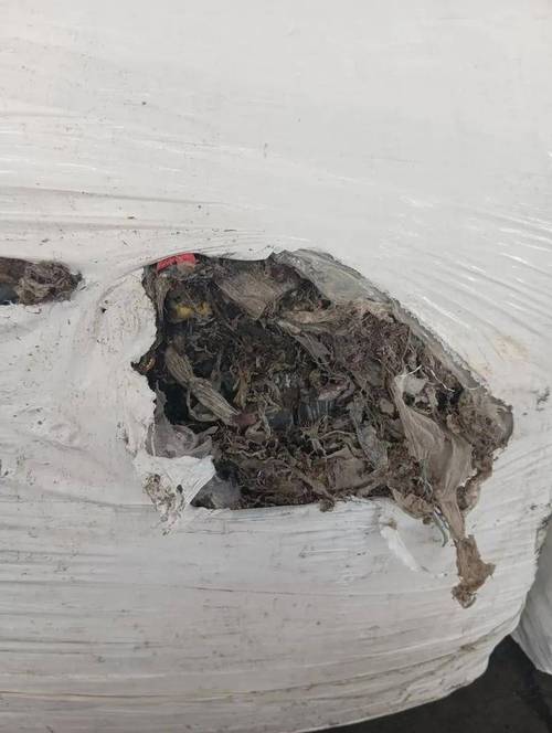 深圳海关破获惊人走私案：20吨粪便状洋垃圾背后的秘密？
