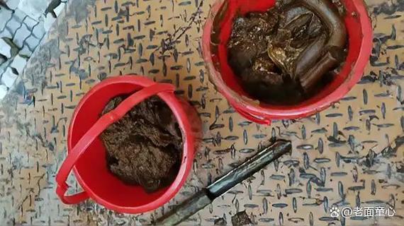 深圳海关破获惊人走私案：20吨粪便状洋垃圾背后的秘密？