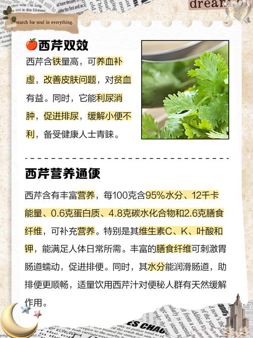 梦见西芹象征意义大解密心灵平和与健康生活的较量 梦见西芹象征意义大解密心灵平和与健康生活的较量