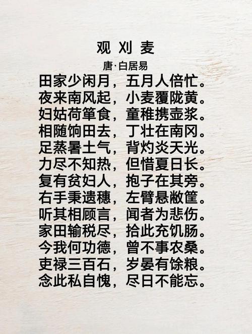 梦见割麦子的深刻寓意及象征意义解读潜意识中的丰收与成长