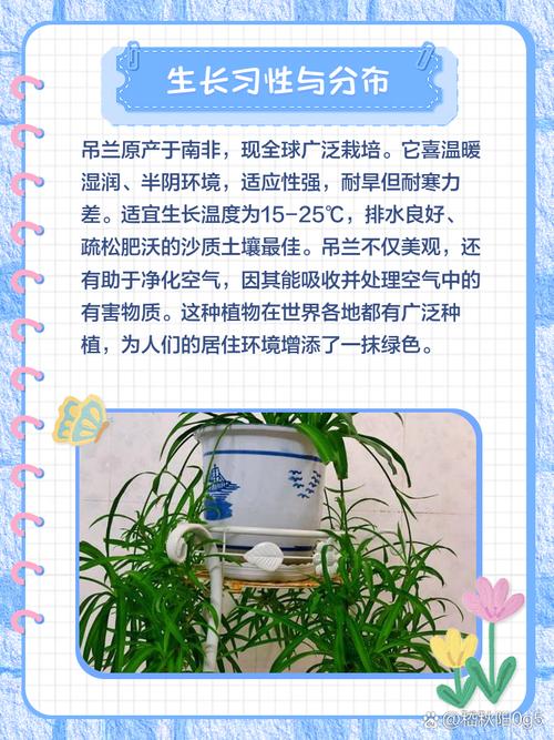 梦见吊兰解析5个含义和心理暗示推动内心成长 梦见吊兰解析5个含义和心理暗示推动内心成长