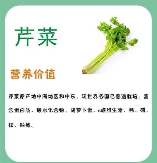 梦见芹菜寓意解析如何利用高效解决方案改善运势? 梦见芹菜寓意解析如何利用高效解决方案改善运势?