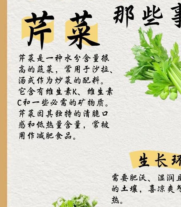 梦见芹菜寓意解析如何利用高效解决方案改善运势? 梦见芹菜寓意解析如何利用高效解决方案改善运势?