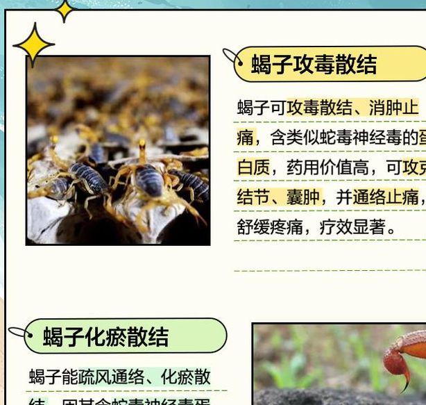 揭秘梦见蝎子的深层含义及自我提升技巧，助您改善生活运势！