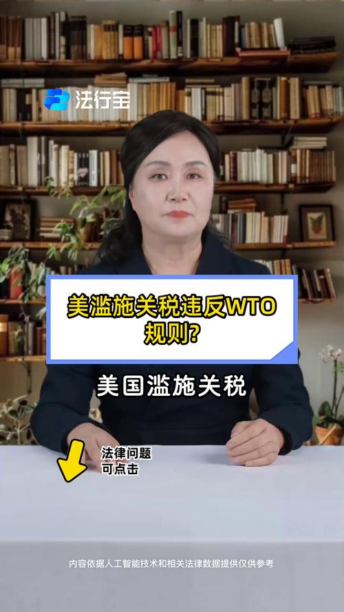 美滥施关税如何损害全球利益？外交部的立场与对策解读
