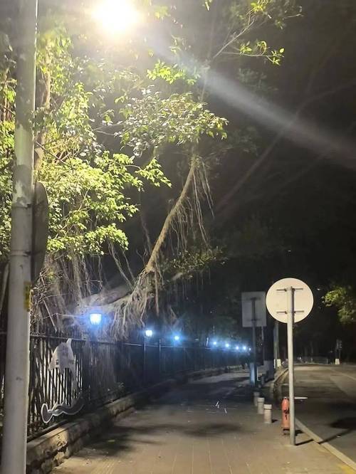 栖霞市城区路灯调整：神秘作息时间如何影响市民生活？