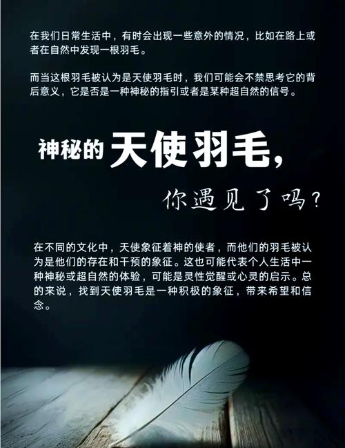 梦见羽毛的7个心理暗示与现实启示大揭秘